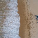 Бухта Триозерье в Приморье: изумрудные волны и белый «бархатный» песок