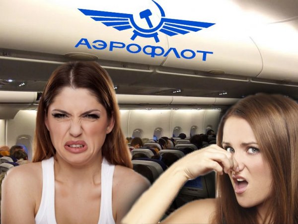 Хвалённая клиентоориентированность от «Аэрофлота»: пассажиры рассказали об изъянах компании