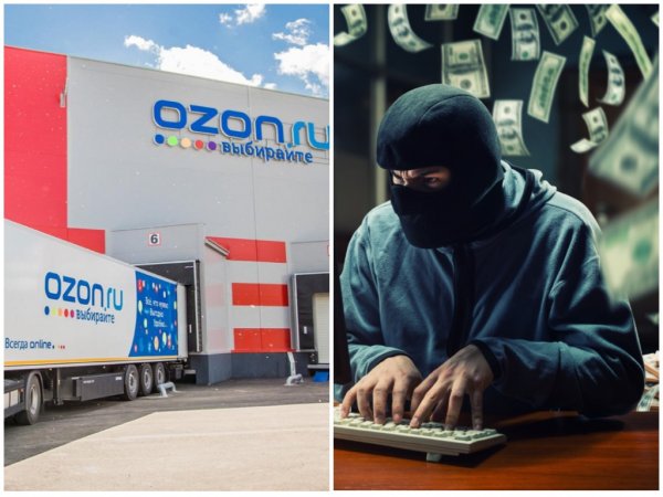 Просто не получилось: «Озон» обвинили в сговоре с хакерами-мошенниками