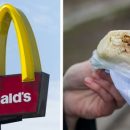 Ошиблись или наплевали?: McDonalds в Москве подменяет срока годности на «просрочке» — клиент